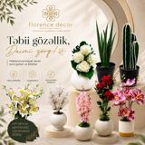 Süni və dekorativ güllər — Florence Decor