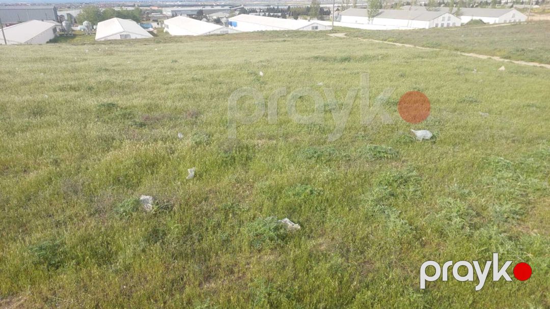 Satılır torpaq 22 sot — Torpaq, Bakı (5)