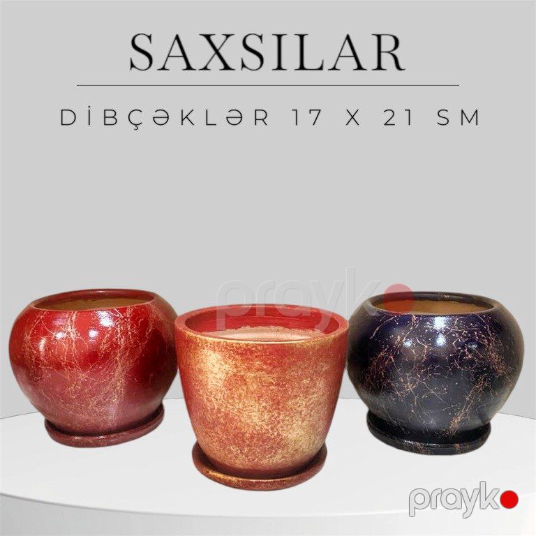 Dibçəklər — Bitkilər, Bakı (5)