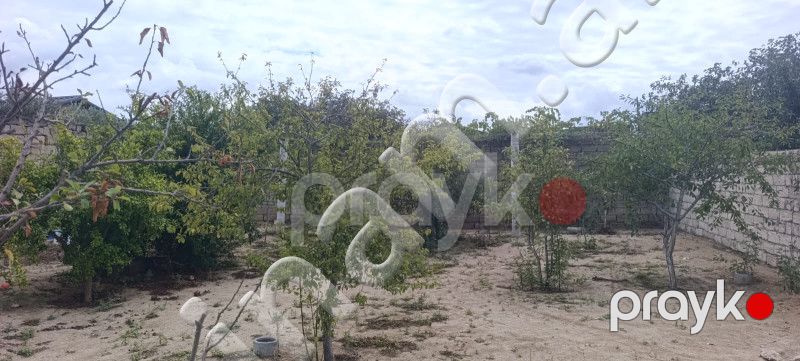 2 sot Torpaq, Satış, Bakı, Sabunçu, Koroğlu — Torpaq, Bakı (4)
