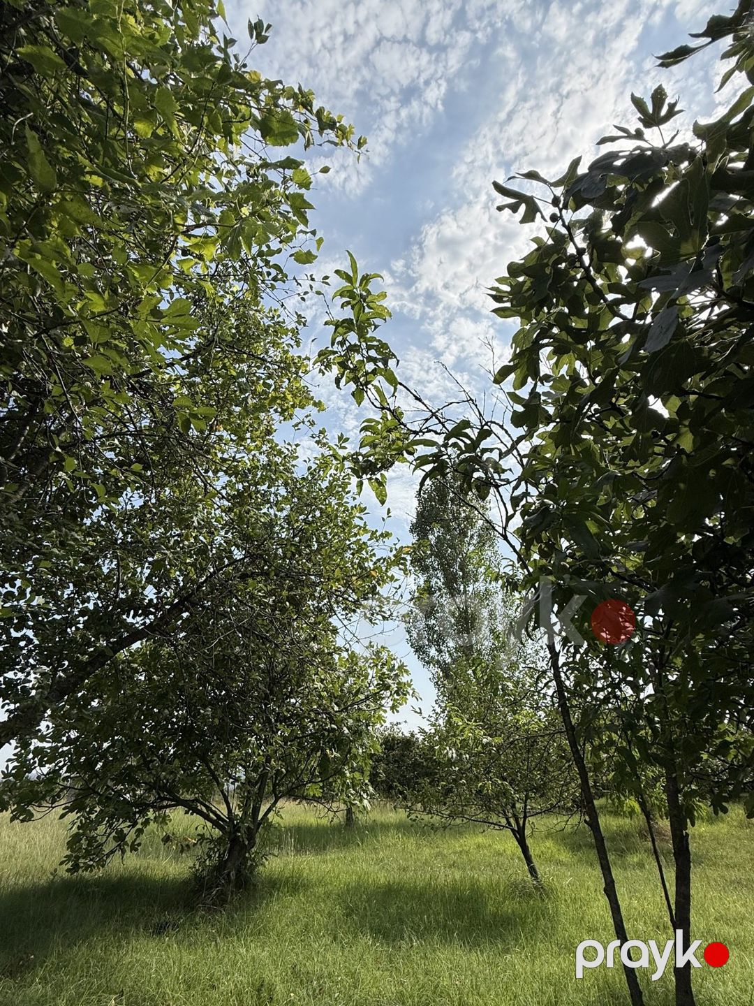 Satılır 4 otaqlı həyət evi/bağ evi 150 m² — Ev, villa, İsmayıllı (7)