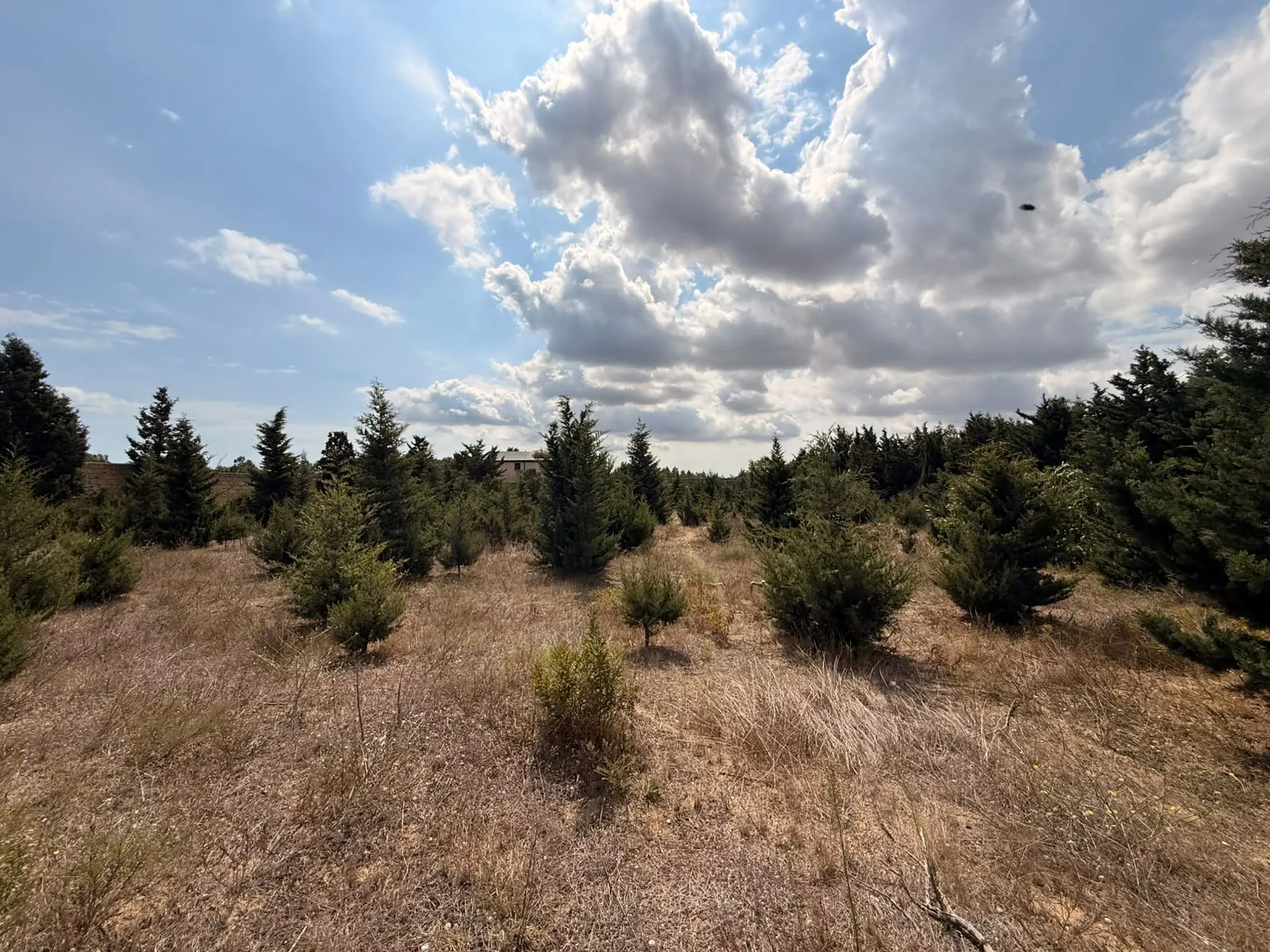 Şüvəlan, Torpaq satılır - 36 sot — Torpaq, Bakı (2)