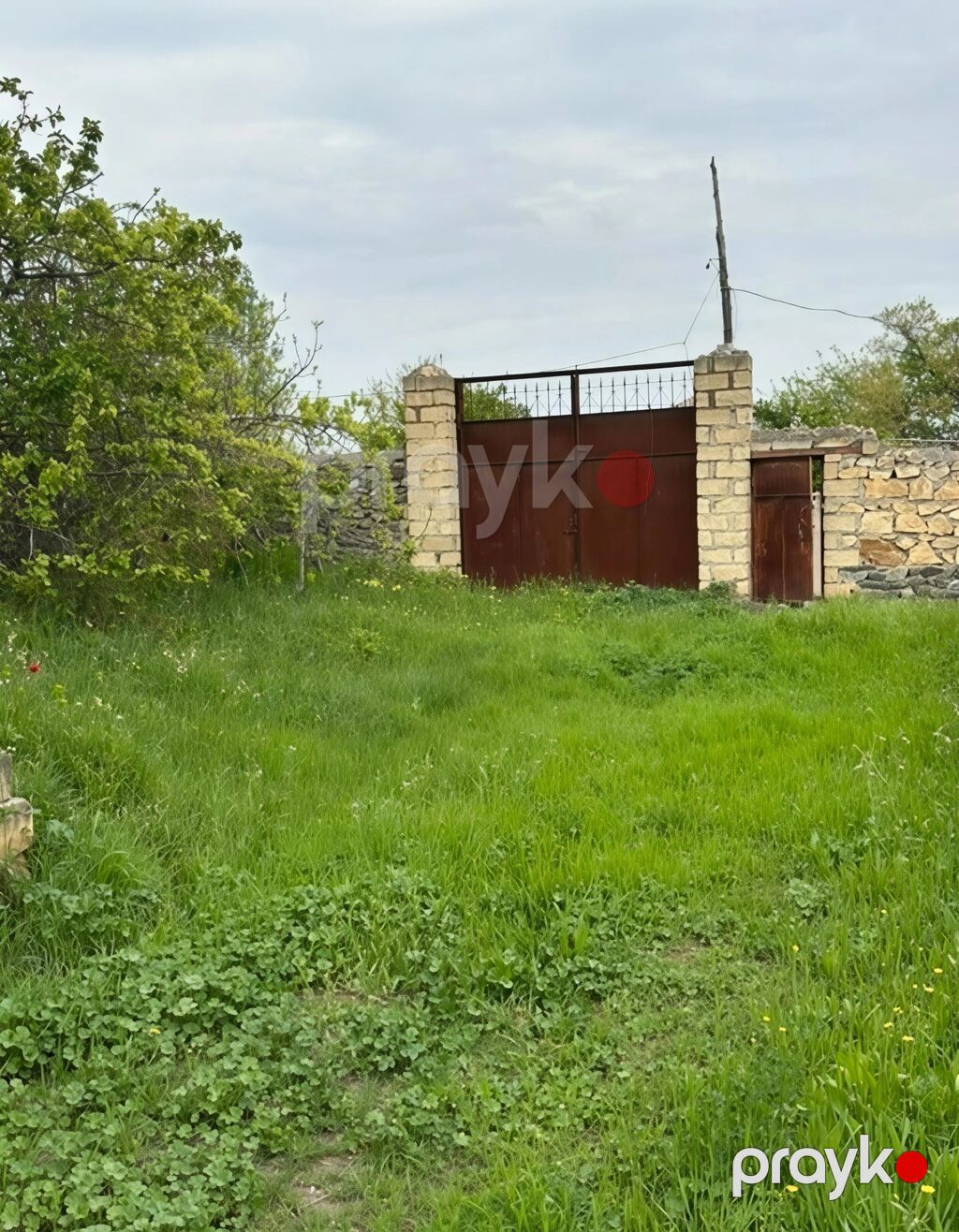 31 sot, Tikinti, Mülkiyyətçi, Kupça (Çıxarış) — Torpaq, Xaçmaz (2)