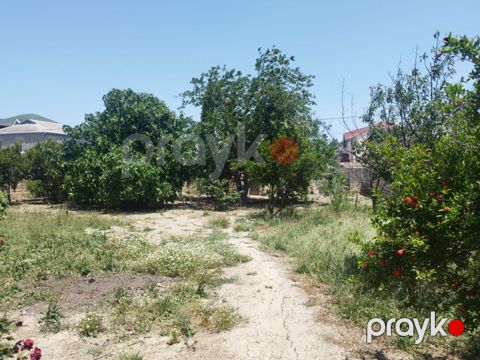 6 sot torpaq sahəsi, Masazır qəs — Bakı