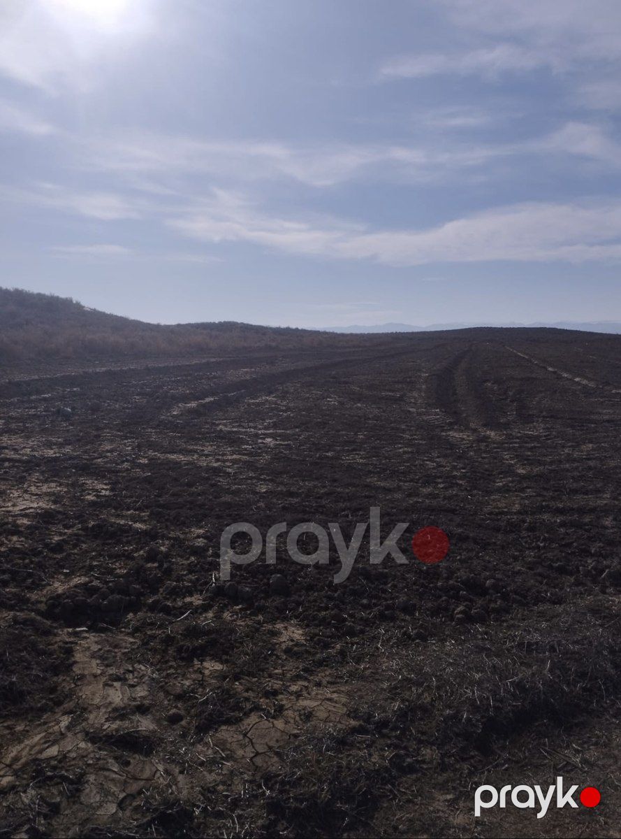 Satılır torpaq 134 sot — Torpaq, Şəmkir (2)