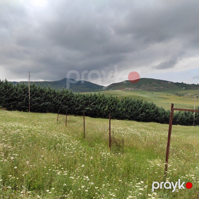 8 sot torpaq sahəsi, Göygöl r — Torpaq, Göygöl (2)