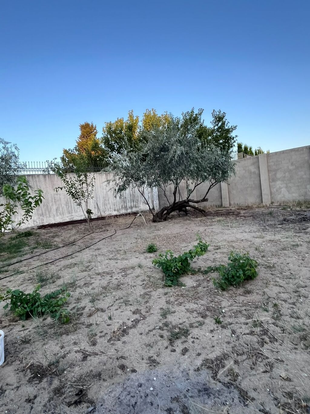12 sot, Tikinti, Mülkiyyətçi, Kupça (Çıxarış) — Torpaq, Digah (7)