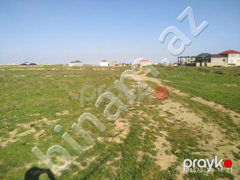 26 sot Torpaq, Satış, Abşeron — Torpaq, Abşeron (5)