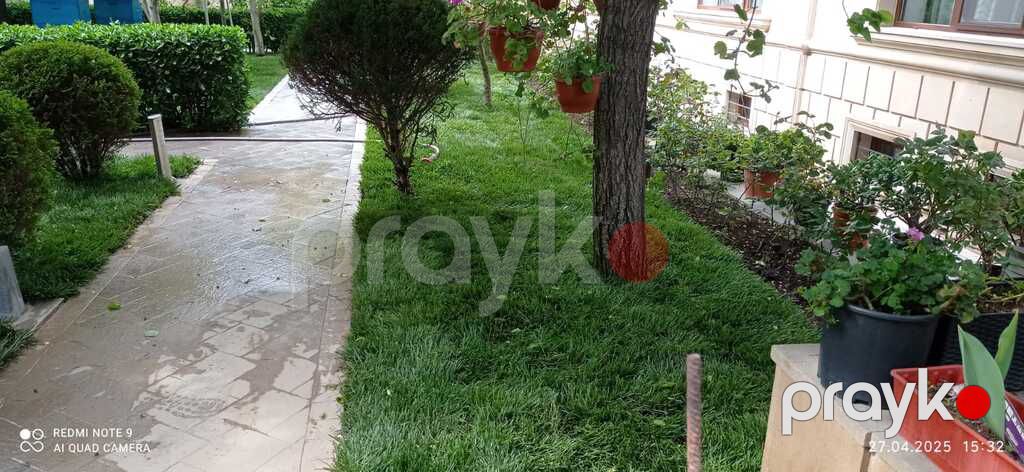 Qazon — Bitkilər, Bakı (9)