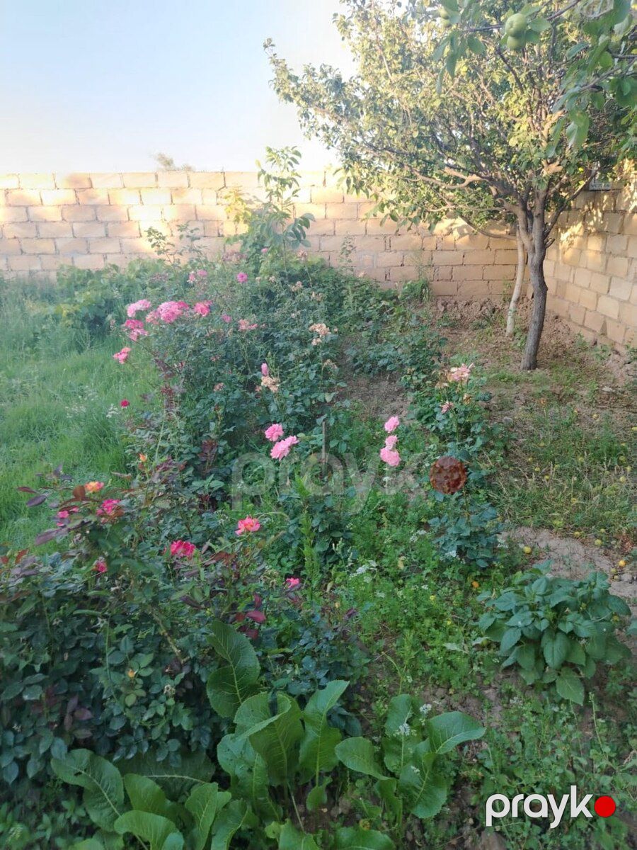 Həyət evi, Sumqayıt ş — Ev, villa, Sumqayıt (2)