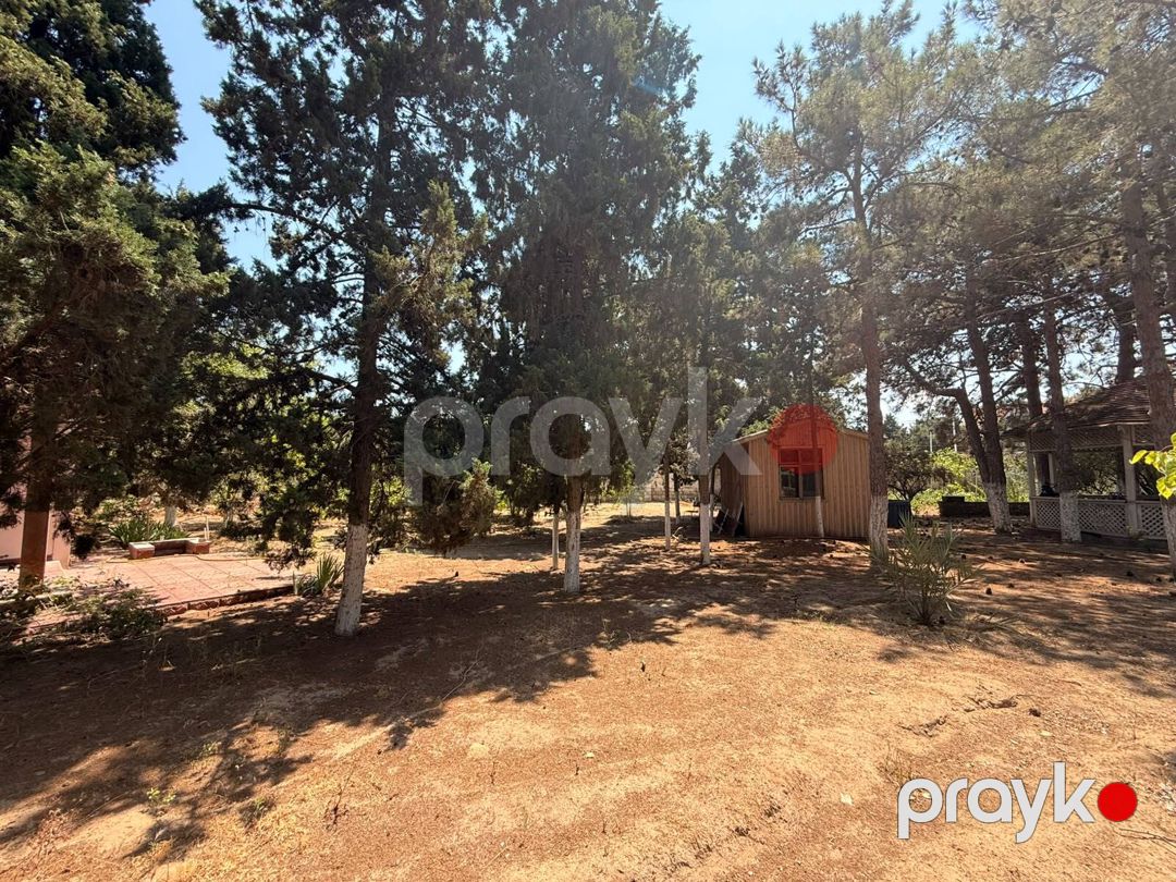Satılır torpaq 8 sot — Torpaq, Bakı (10)