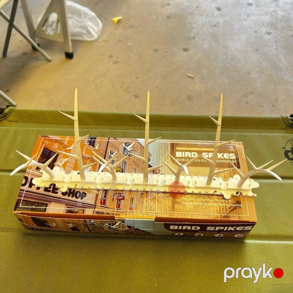 Quş və pişik qovan iynə (6pcs) Bırd Spıkes – Quş və Heyvan Qoruyucu — Heyvan malları, Bakı (4)