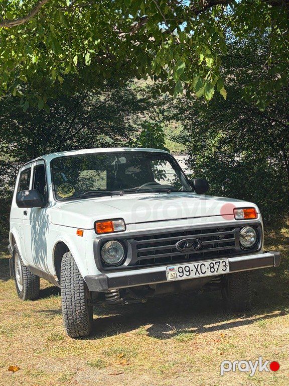Lada (VAZ) Niva, 1.7 L, 2003 il, 172 000 km — Avtomobillər, İsmayıllı (7)