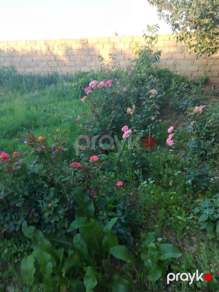 Həyət evi, Sumqayıt ş — Ev, villa, Sumqayıt (4)