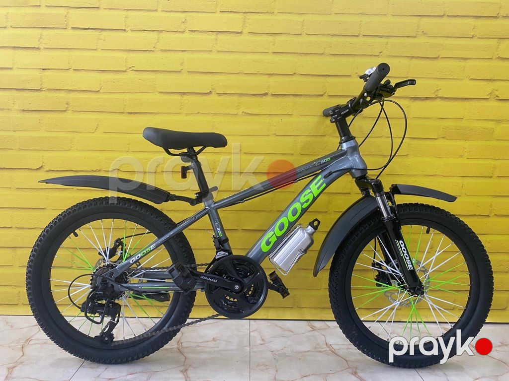 Velosiped "Goose 20" — Velosipedlər, Bakı (5)