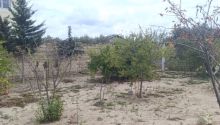 2 sot Torpaq, Satış, Bakı, Sabunçu, Koroğlu — Torpaq, Bakı (8)