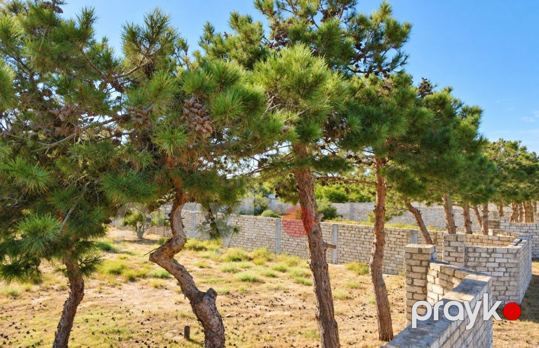 110 sot torpaq sahəsi, Mərdəkan qəs — Torpaq, Bakı (3)