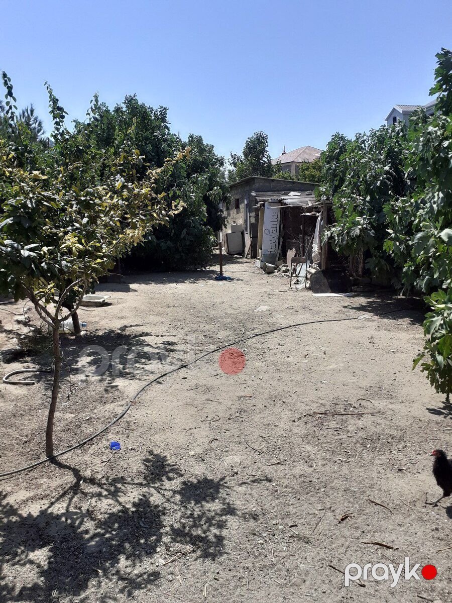 4 sot torpaq sahəsi, Albalılıq qəs — Torpaq, Bakı (3)
