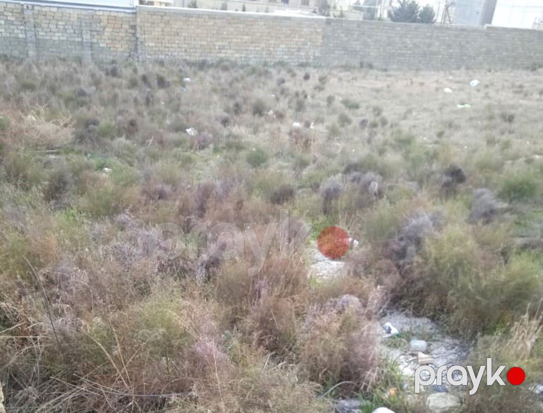 Satılır torpaq 3 sot — Torpaq, Bakı (2)
