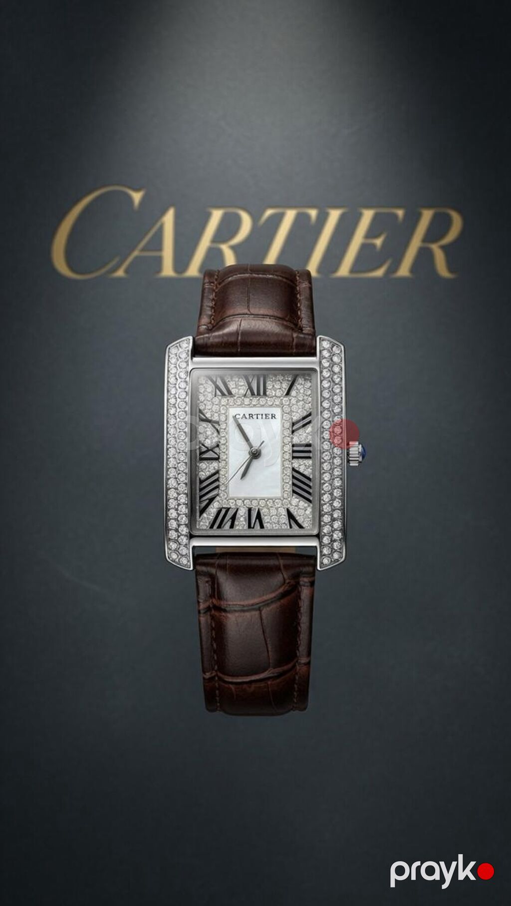 Cartier Tank Americaine – zərif daş-qaşlı saat kolleksiyası - Korpus — Qol saatları, Mehdiabad (3)