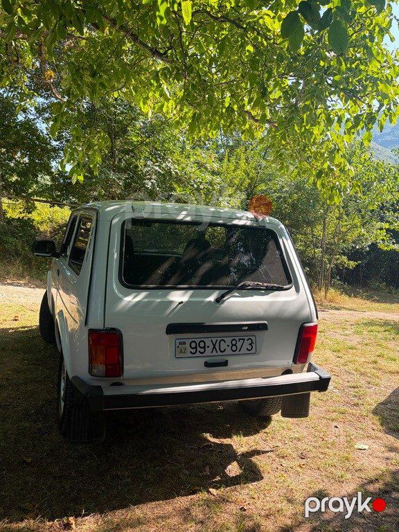 Lada (VAZ) Niva, 1.7 L, 2003 il, 172 000 km — Avtomobillər, İsmayıllı (6)