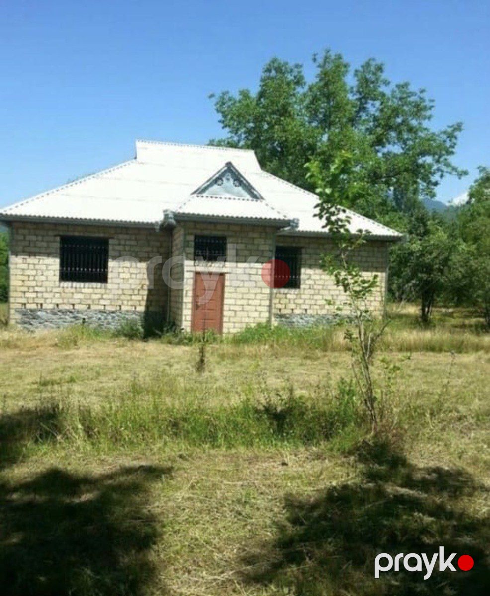 64 sot torpaq sahəsi, Qəbələ r., Nohurqışlaq kəndi — Torpaq, Qəbələ (8)