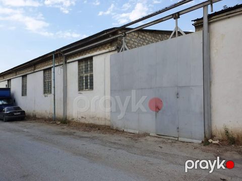 İcarəyə verilir obyekt 300 m² — Bakı