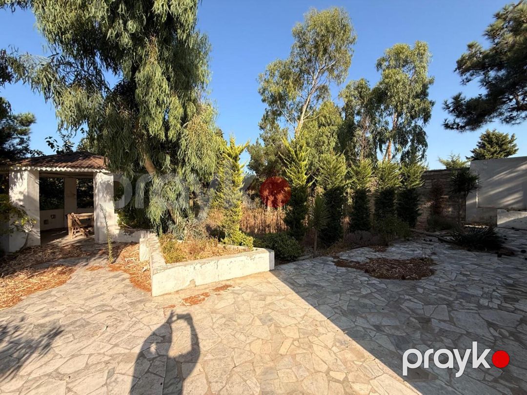 Satılır torpaq 19 sot — Torpaq, Bakı (10)