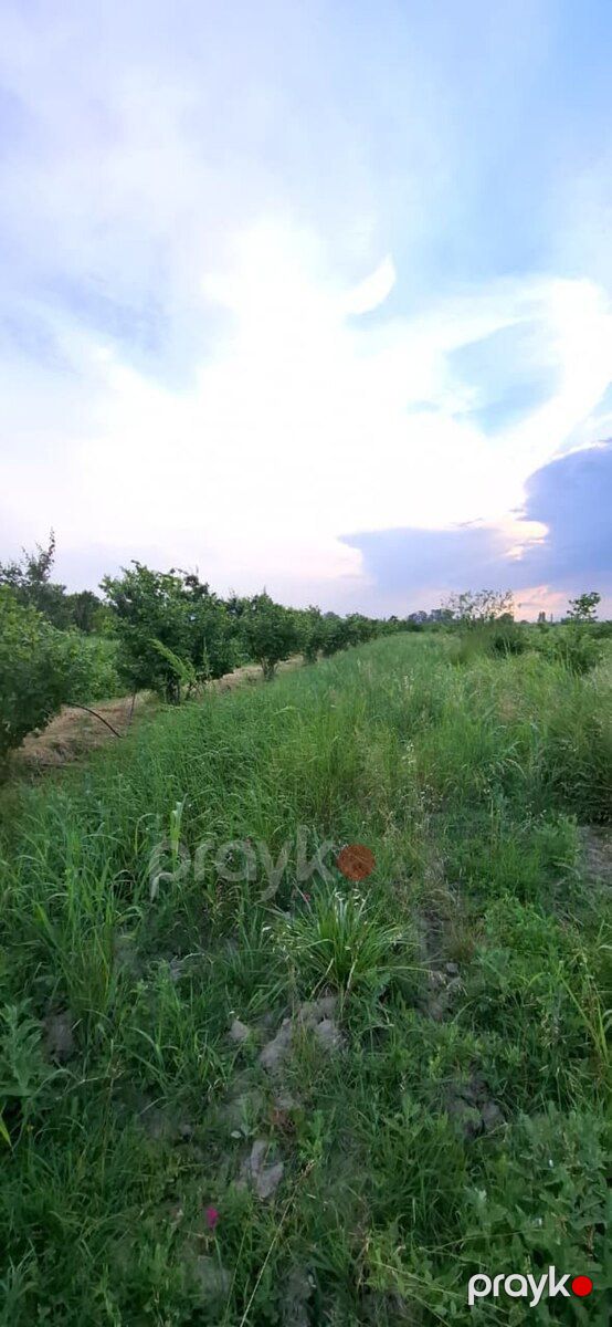 100 sot torpaq sahəsi, Xaçmaz r — Torpaq, Xaçmaz (3)