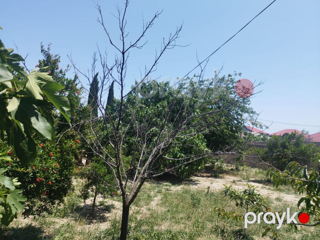 6 sot torpaq sahəsi, Masazır qəs — Torpaq, Bakı (3)