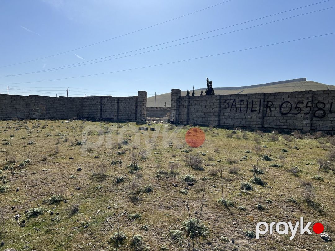Satılır torpaq 24 sot — Torpaq, Bakı (6)