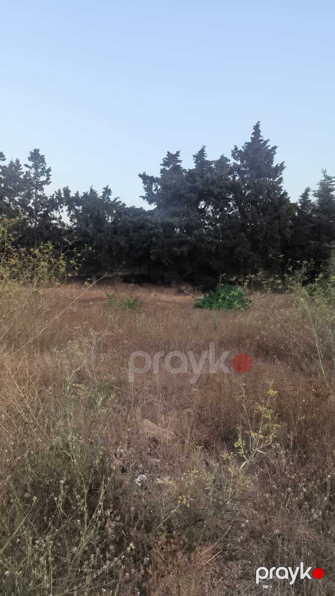 Satılır torpaq 40 sot — Torpaq, Bakı (2)