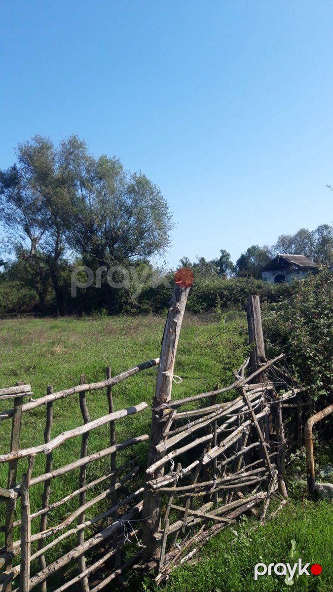 12 sot torpaq sahəsi, Astara r — Torpaq, Astara (3)