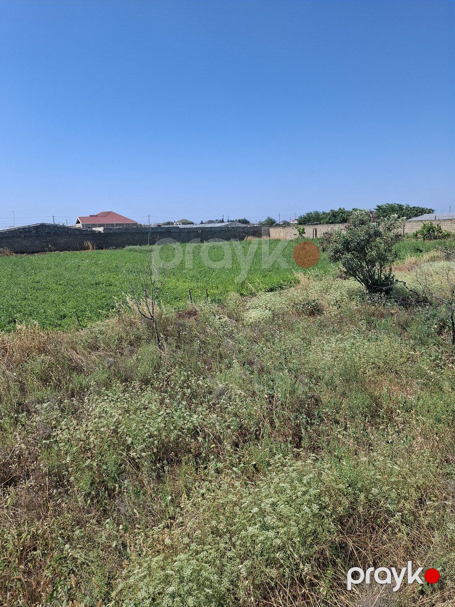 Bağ evi, Türkan qəs — Ev, villa, Bakı (9)