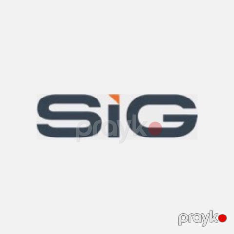 Project Manager — Real Estate & Finance