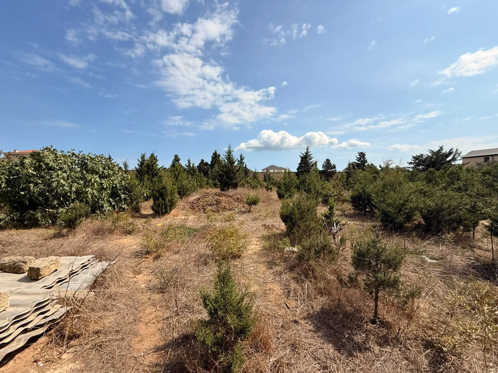 Şüvəlan, Torpaq satılır - 36 sot — Torpaq, Bakı (4)