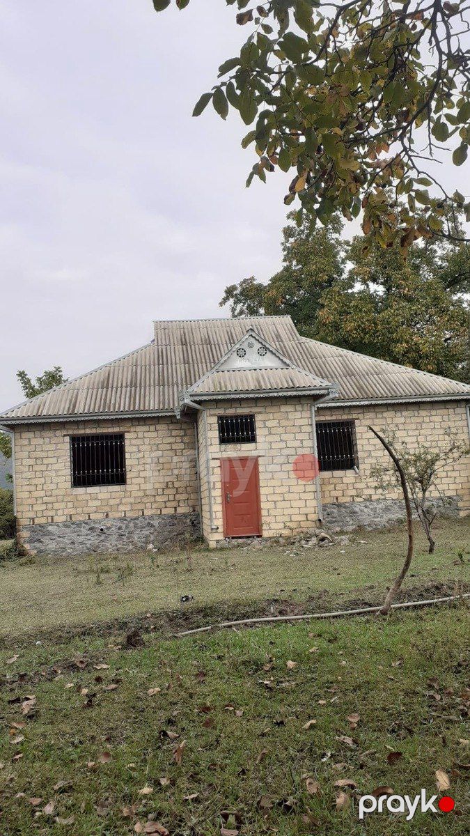 64 sot torpaq sahəsi, Qəbələ r., Nohurqışlaq kəndi — Torpaq, Qəbələ (4)