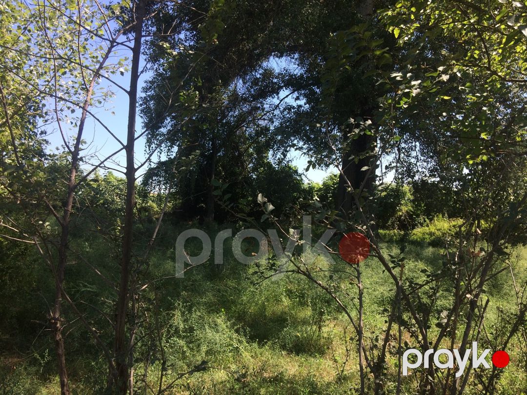 Həyət evi, Ağdaş r — Ev, villa, Ağdaş (9)