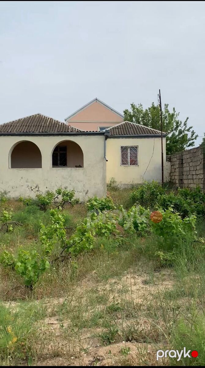 Satılır torpaq 11 sot — Torpaq, Bakı (2)
