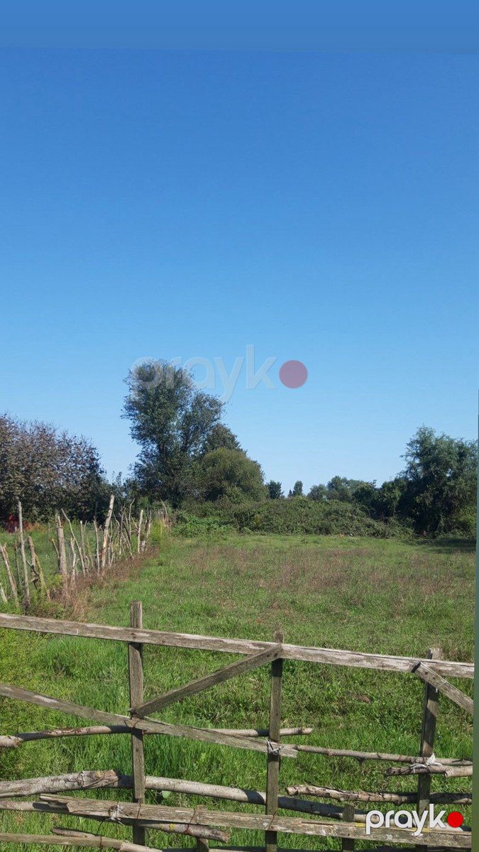 12 sot torpaq sahəsi, Astara r — Torpaq, Astara (2)