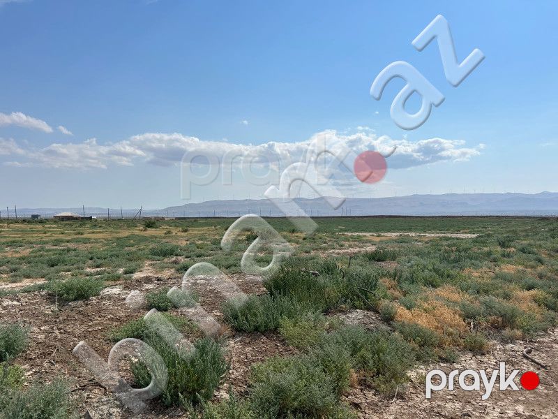511 sot Torpaq, Satış, Xızı — Torpaq, Xızı (2)