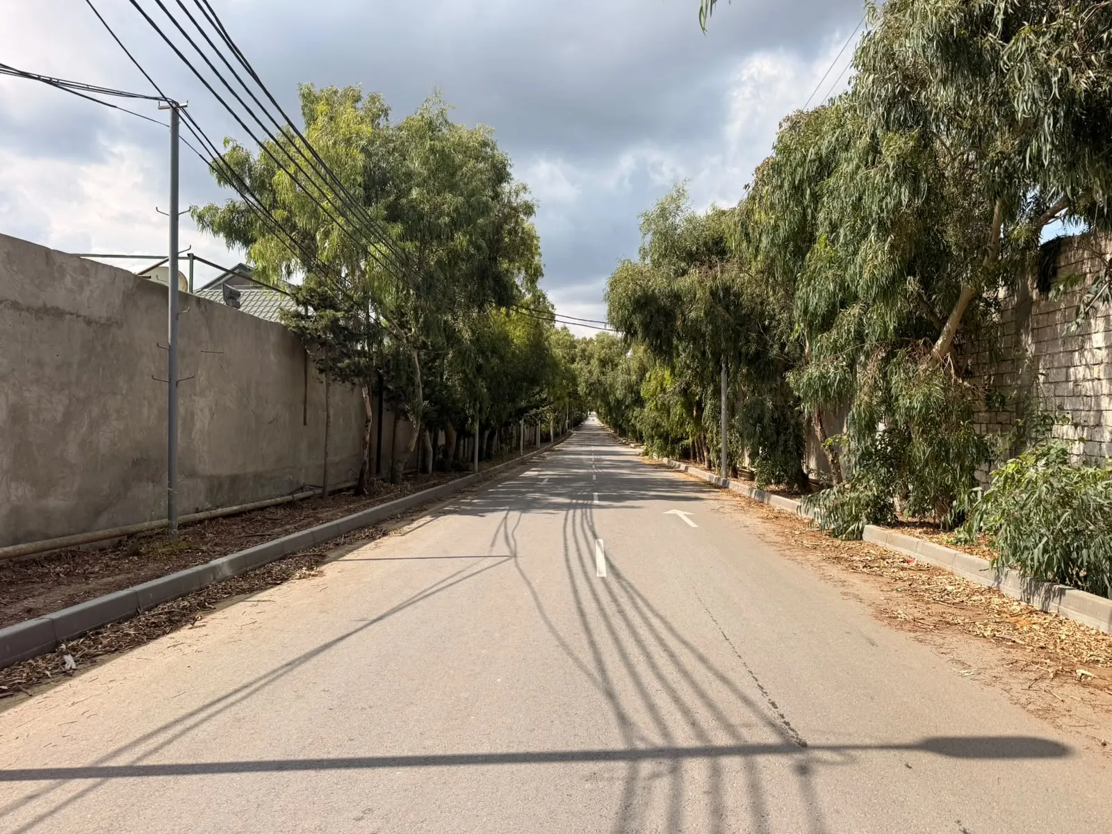 Şüvəlan, Torpaq satılır - 36 sot — Bakı