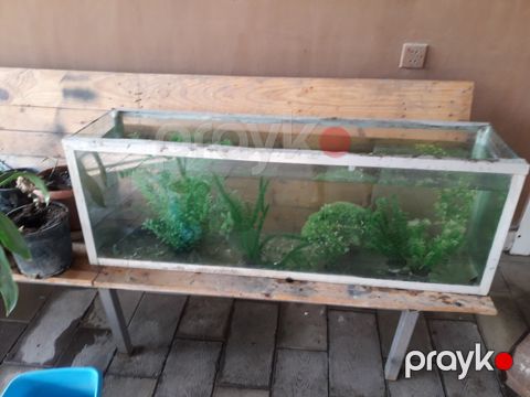 Akvarium və dolabı — Bakı