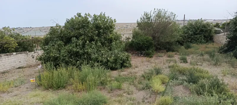 Satılır Torpaq 15 sot Bakı, Abşeron r., Azadlıq prospekti m., Digah — Torpaq, Bakı (2)