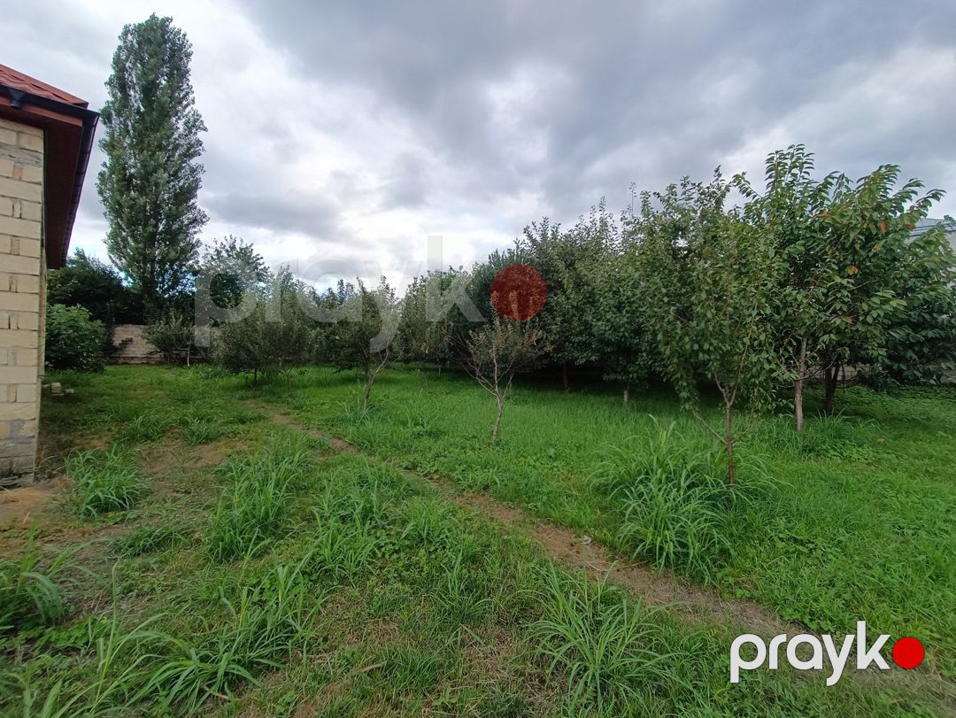 Satılır torpaq 5 sot — Torpaq, Quba (3)
