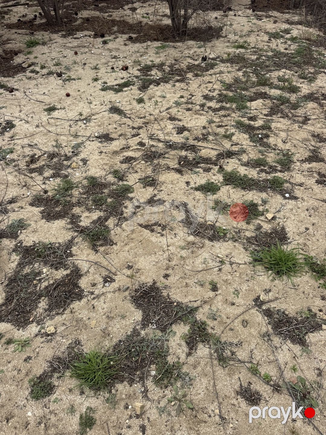 Satılır torpaq 2 sot — Torpaq, Bakı (3)