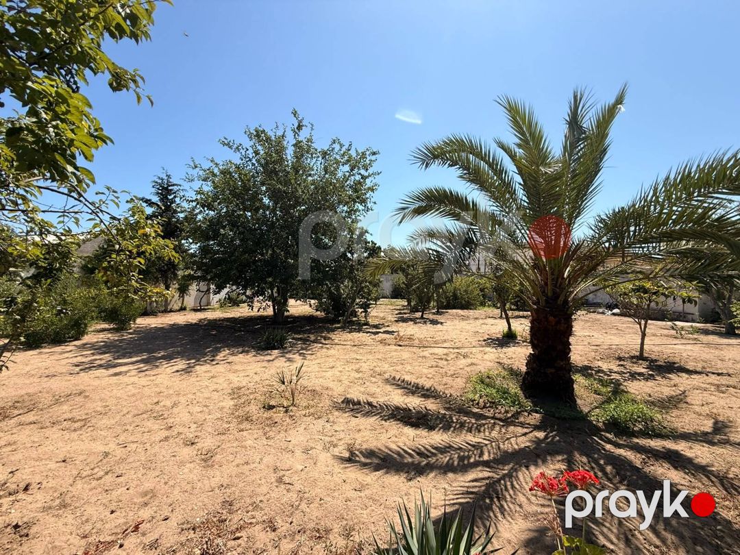Satılır torpaq 5 sot — Torpaq, Bakı (4)
