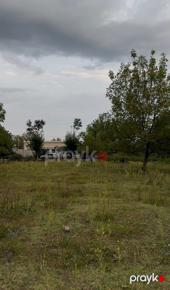 22 sot torpaq sahəsi, Bum qəs — Torpaq, Qəbələ (5)