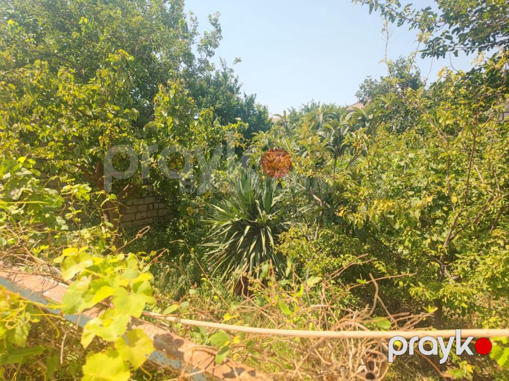 Satılır həyət evi, Yeni Corat q — Ev, villa (3)
