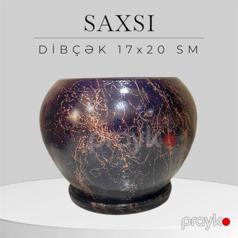 Dibçəklər — Bitkilər, Bakı (3)